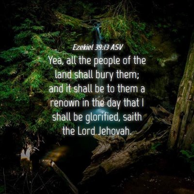 Picture 04 - Ezekiel 39:13 ASV - Yea, all the people of the land shall bury them; - Bible Verse Picture