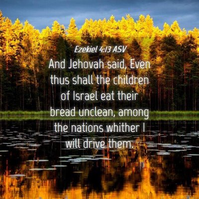 Picture 04 - Ezekiel 4:13 ASV - And Jehovah said, Even thus shall the children of - Bible Verse Picture