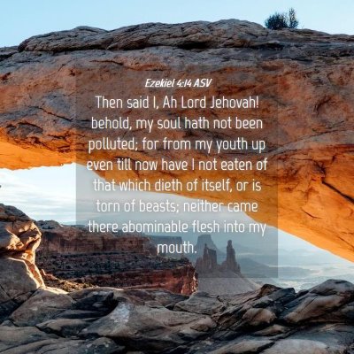 Picture 04 - Ezekiel 4:14 ASV - Then said I, Ah Lord Jehovah! behold, my soul - Bible Verse Picture