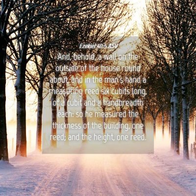 Picture 04 - Ezekiel 40:5 ASV - And, behold, a wall on the outside of the house - Bible Verse Picture