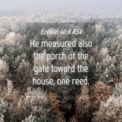 Picture 04 - Ezekiel 40:8 ASV - He measured also the porch of the gate toward the - Bible Verse Picture