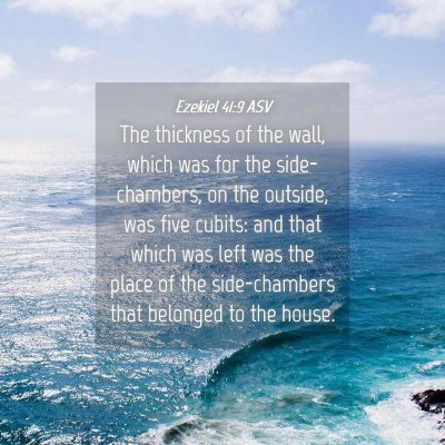 Picture 04 - Ezekiel 41:9 ASV - The thickness of the wall, which was for the - Bible Verse Picture