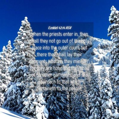 Picture 04 - Ezekiel 42:14 ASV - When the priests enter in, then shall they not go - Bible Verse Picture