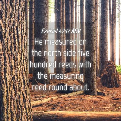 Picture 04 - Ezekiel 42:17 ASV - He measured on the north side five hundred reeds - Bible Verse Picture