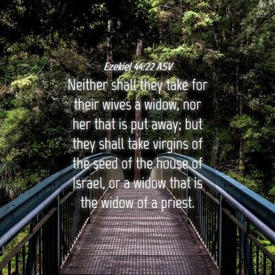 Picture 04 - Ezekiel 44:22 ASV - Neither shall they take for their wives a widow, - Bible Verse Picture