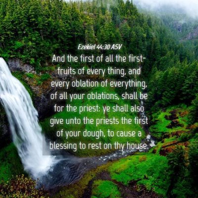Picture 04 - Ezekiel 44:30 ASV - And the first of all the first-fruits of every - Bible Verse Picture