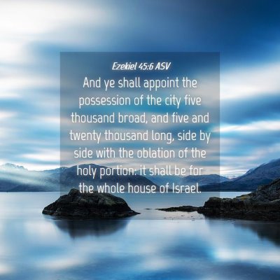 Picture 04 - Ezekiel 45:6 ASV - And ye shall appoint the possession of the city - Bible Verse Picture