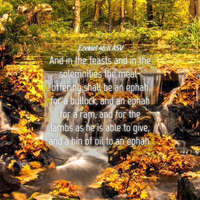 Picture 04 - Ezekiel 46:11 ASV - And in the feasts and in the solemnities the - Bible Verse Picture