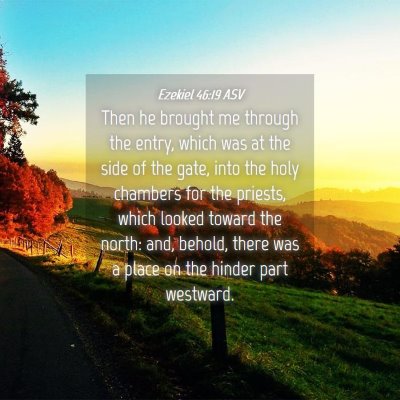 Picture 04 - Ezekiel 46:19 ASV - Then he brought me through the entry, which was - Bible Verse Picture