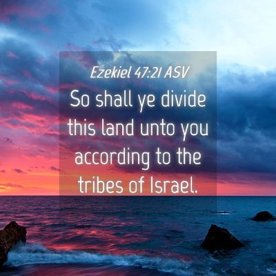 Picture 04 - Ezekiel 47:21 ASV - So shall ye divide this land unto you according - Bible Verse Picture