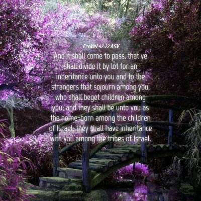 Picture 04 - Ezekiel 47:22 ASV - And it shall come to pass, that ye shall divide - Bible Verse Picture