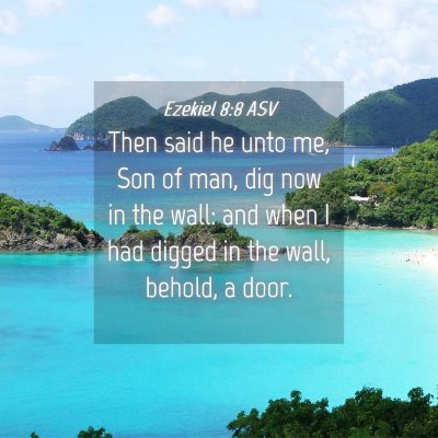 Picture 04 - Ezekiel 8:8 ASV - Then said he unto me, Son of man, dig now in the - Bible Verse Picture