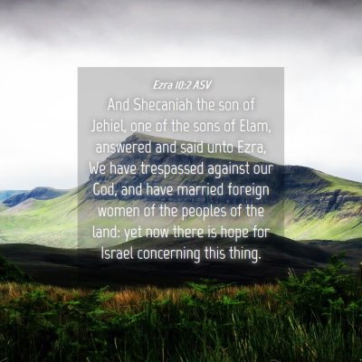 Picture 04 - Ezra 10:2 ASV - And Shecaniah the son of Jehiel, one of the sons - Bible Verse Picture