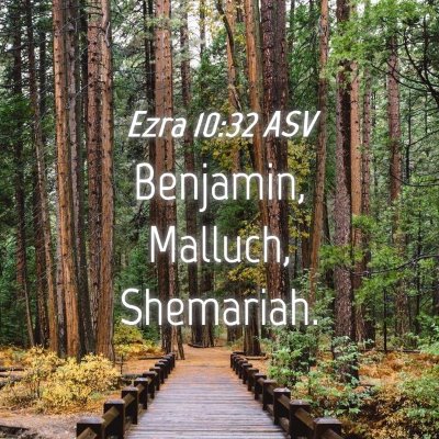 Picture 04 - Ezra 10:32 ASV - Benjamin, Malluch, - Bible Verse Picture