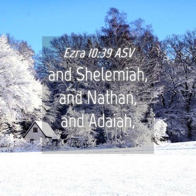 Picture 04 - Ezra 10:39 ASV - and Shelemiah, and Nathan, and - Bible Verse Picture