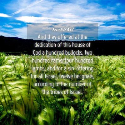 Picture 04 - Ezra 6:17 ASV - And they offered at the dedication of this house - Bible Verse Picture