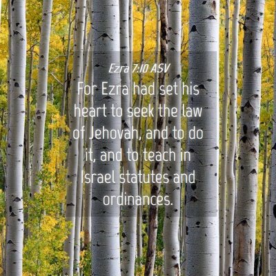 Picture 04 - Ezra 7:10 ASV - For Ezra had set his heart to seek the law of - Bible Verse Picture