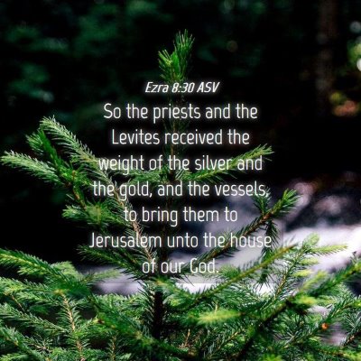 Picture 04 - Ezra 8:30 ASV - So the priests and the Levites received the - Bible Verse Picture