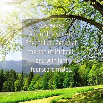 Picture 04 - Ezra 8:8 ASV - And of the sons of Shephatiah, Zebadiah the son - Bible Verse Picture
