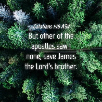 Picture 04 - Galatians 1:19 ASV - But other of the apostles saw I none, save James - Bible Verse Picture