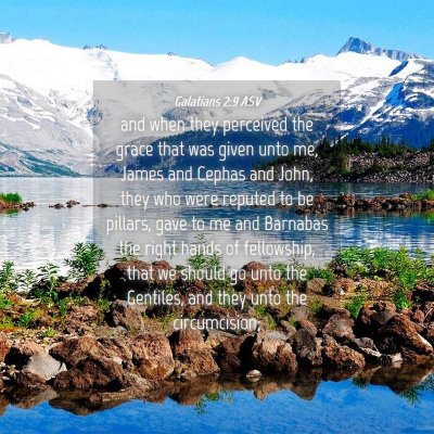 Picture 04 - Galatians 2:9 ASV - and when they perceived the grace that was given - Bible Verse Picture