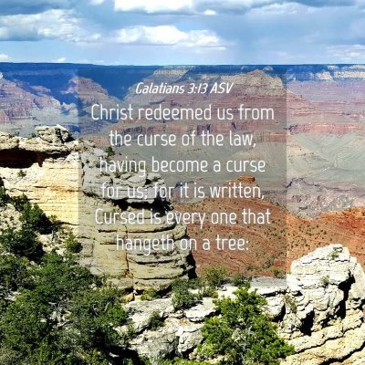 Picture 04 - Galatians 3:13 ASV - Christ redeemed us from the curse of the law, - Bible Verse Picture