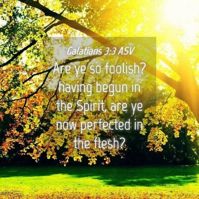 Picture 04 - Galatians 3:3 ASV - Are ye so foolish? having begun in the Spirit, - Bible Verse Picture