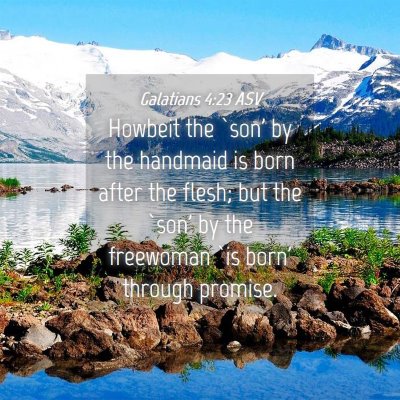 Picture 04 - Galatians 4:23 ASV - Howbeit the `son' by the handmaid is born after - Bible Verse Picture