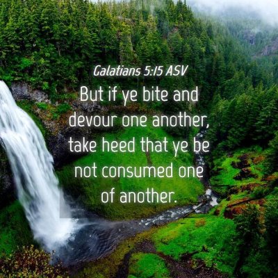 Picture 04 - Galatians 5:15 ASV - But if ye bite and devour one another, take heed - Bible Verse Picture