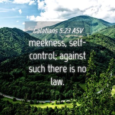 Picture 04 - Galatians 5:23 ASV - meekness, self-control; against such there is no - Bible Verse Picture
