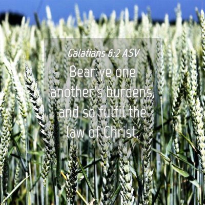 Picture 04 - Galatians 6:2 ASV - Bear ye one another's burdens, and so fulfil the - Bible Verse Picture