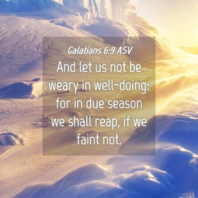 Picture 04 - Galatians 6:9 ASV - And let us not be weary in well-doing: for in due - Bible Verse Picture
