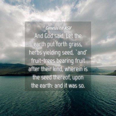 Picture 04 - Genesis 1:11 ASV - And God said, Let the earth put forth grass, - Bible Verse Picture