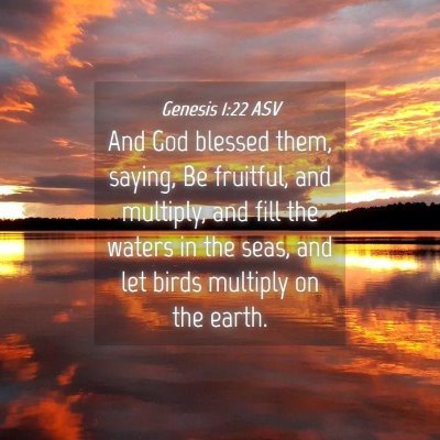 Picture 04 - Genesis 1:22 ASV - And God blessed them, saying, Be fruitful, and - Bible Verse Picture