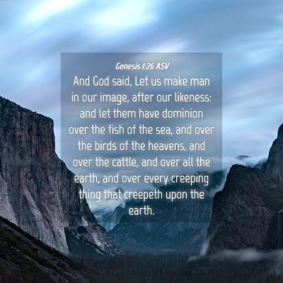 Picture 04 - Genesis 1:26 ASV - And God said, Let us make man in our image, after - Bible Verse Picture