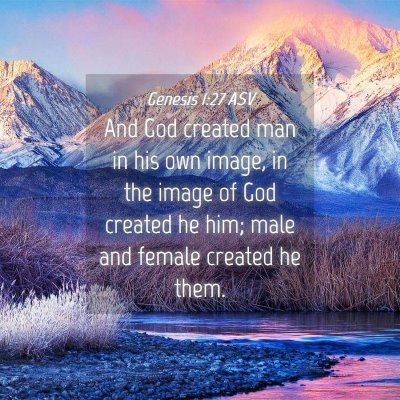 Picture 04 - Genesis 1:27 ASV - And God created man in his own image, in the - Bible Verse Picture