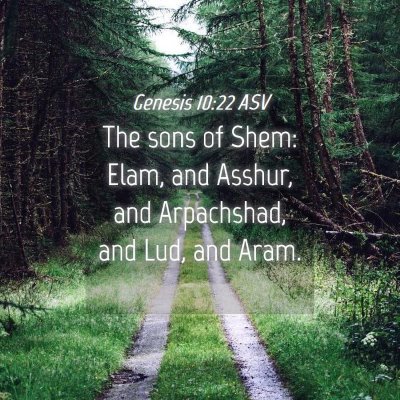 Picture 04 - Genesis 10:22 ASV - The sons of Shem: Elam, and Asshur, and - Bible Verse Picture