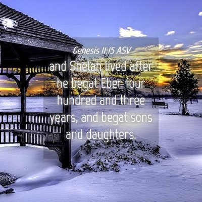 Picture 04 - Genesis 11:15 ASV - and Shelah lived after he begat Eber four hundred - Bible Verse Picture