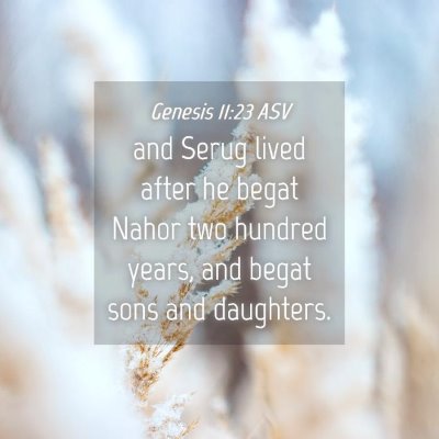 Picture 04 - Genesis 11:23 ASV - and Serug lived after he begat Nahor two hundred - Bible Verse Picture
