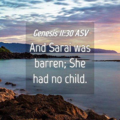 Picture 04 - Genesis 11:30 ASV - And Sarai was barren; She had no - Bible Verse Picture