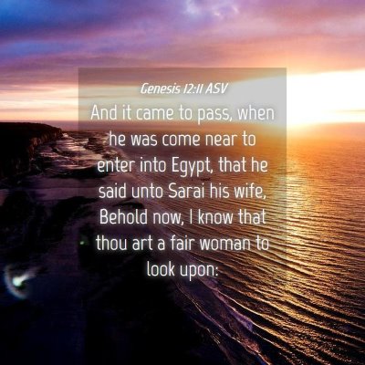 Picture 04 - Genesis 12:11 ASV - And it came to pass, when he was come near to - Bible Verse Picture