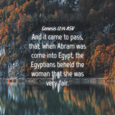 Picture 04 - Genesis 12:14 ASV - And it came to pass, that, when Abram was come - Bible Verse Picture