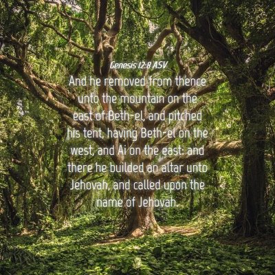 Picture 04 - Genesis 12:8 ASV - And he removed from thence unto the mountain on - Bible Verse Picture