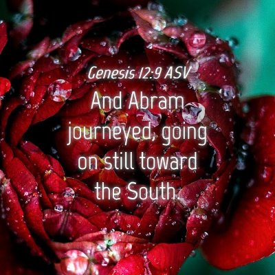 Picture 04 - Genesis 12:9 ASV - And Abram journeyed, going on still toward the - Bible Verse Picture