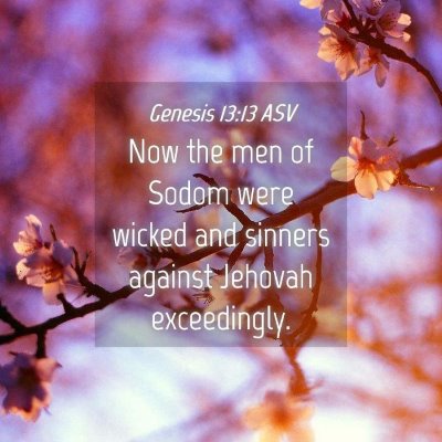 Picture 04 - Genesis 13:13 ASV - Now the men of Sodom were wicked and sinners - Bible Verse Picture