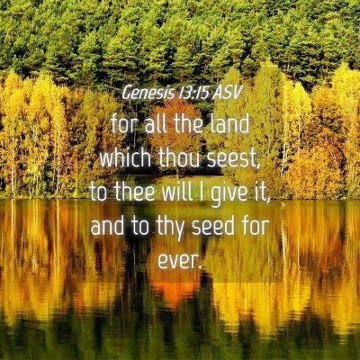 Picture 04 - Genesis 13:15 ASV - for all the land which thou seest, to thee will I - Bible Verse Picture