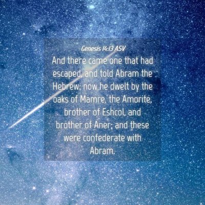 Picture 04 - Genesis 14:13 ASV - And there came one that had escaped, and told - Bible Verse Picture
