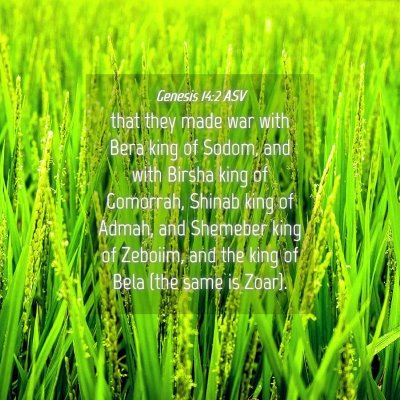 Picture 04 - Genesis 14:2 ASV - that they made war with Bera king of Sodom, and - Bible Verse Picture