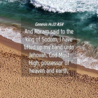 Picture 04 - Genesis 14:22 ASV - And Abram said to the king of Sodom, I have - Bible Verse Picture