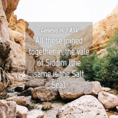 Picture 04 - Genesis 14:3 ASV - All these joined together in the vale of Siddim - Bible Verse Picture